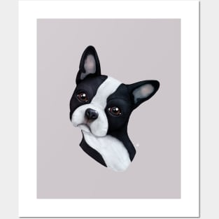 Boston Terrier Posters and Art